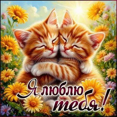 Postcard открытка хочу обнимать тебявсегда