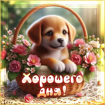 Picture открытка хорошего денечка тебе, улыбайся