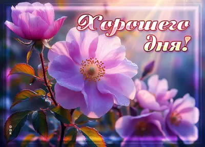 Postcard открытка хорошего и прекрасного дня, как этот цветок