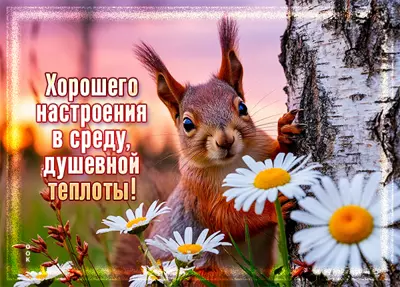 Picture открытка хорошего настроения в среду