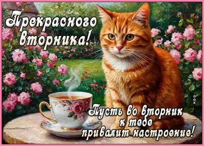 Picture открытка хорошего вторника и настроения