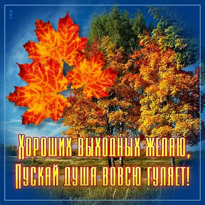 Picture открытка хороших вам осенних выходных