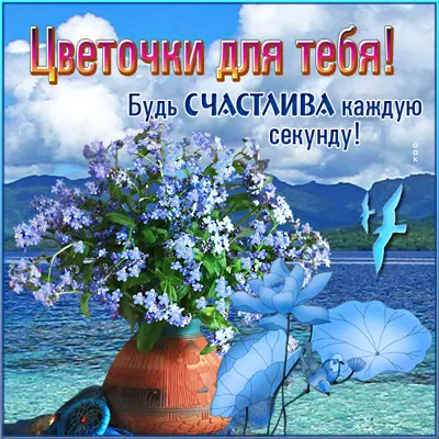 Picture отличная открытка с цветами