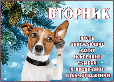 Postcard поэтичная открытка вторник