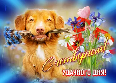 Picture потешная картинка с четвергом