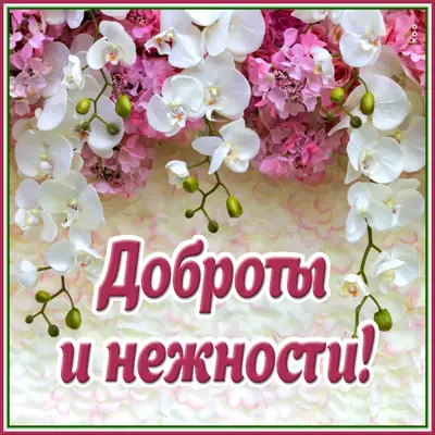 Picture потешная открытка с пожеланиями
