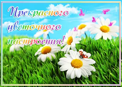 Postcard позитивная открытка с цветами