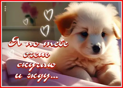 Postcard праздничная открытка я по тебе очень скучаю и жду