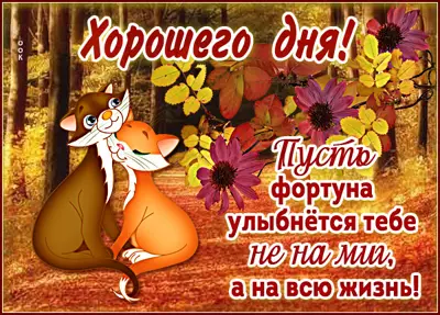 Picture прекрасная картинка хорошего осеннего дня