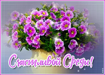 Postcard прелестная открытка счастливой среды