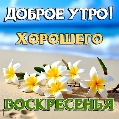 Postcard прикольная октрытка хорошего воскресенья