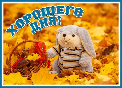 Picture приветливая открытка хорошего дня