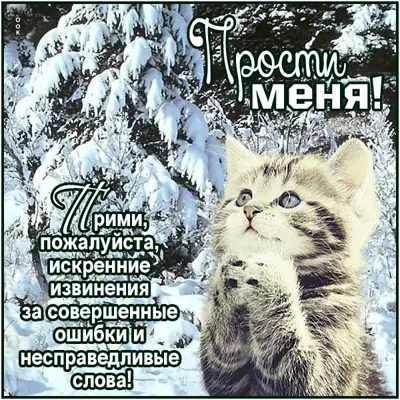 Picture привлекательная открытка прости меня