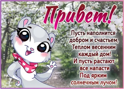 Picture приятная открытка привет