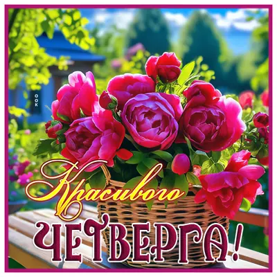 Picture продуктивная картинка красивого четверга