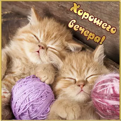 Postcard remove