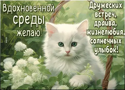Picture романтичная открытка уютная открытка вдохновенной среды