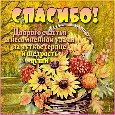 Postcard симпатичная картинка спасибо