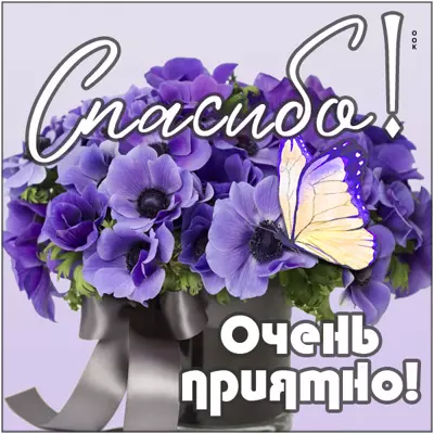 Picture сказочная картинка спасибо очень приятно