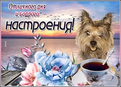 Postcard сказочная открытка отличного дня и бодрого настроения