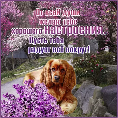 Postcard сказочная открытка пусть тебя радует все вокруг