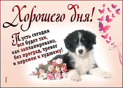 Postcard сказочная открытка хорошего дня