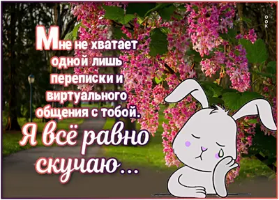 Picture сладкая открытка я все равно скучаю