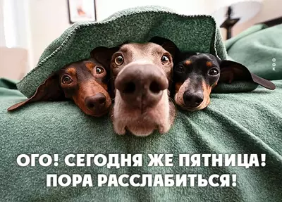 Picture смешная картинка ого сегодня пятница