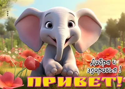 Picture смешная картинка привет