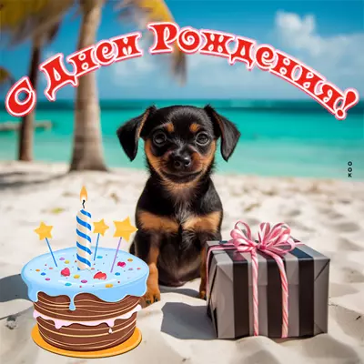 Picture смешная картинка с днем рождения