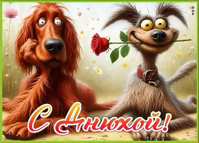 Postcard смешная картинка с днюхой