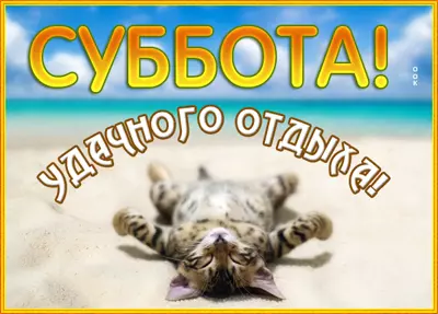 Postcard смешная картинка удачного отдыха
