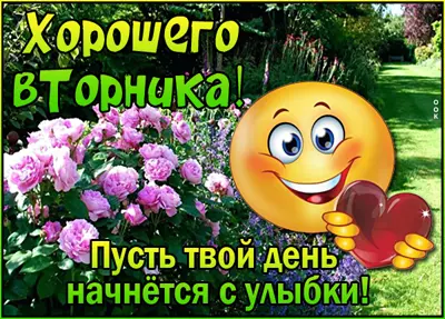 Postcard смешная картинка хорошего вторника