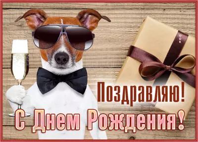 Postcard смешная открытка поздравляю