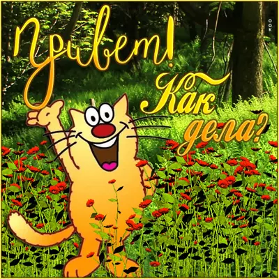 Picture смешная открытка привет