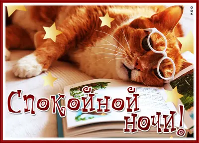 Postcard смешная открытка спокойной ночи