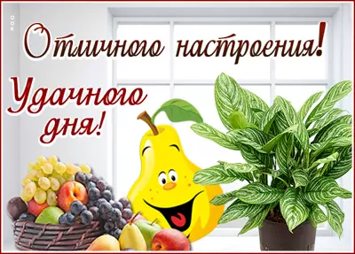 Postcard смешная открытка удачного дня