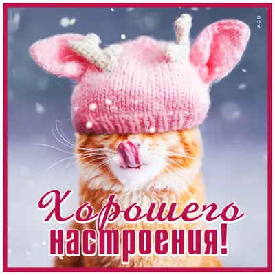 Picture смешная открытка хорошего настроения с котиком