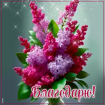 Picture таинственная открытка благодарю