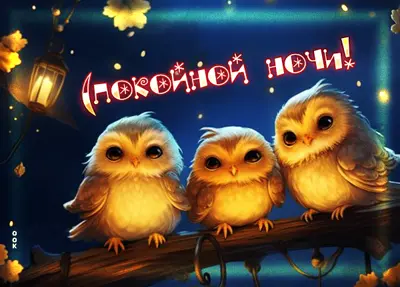Postcard творческая открытка спокойной ночи