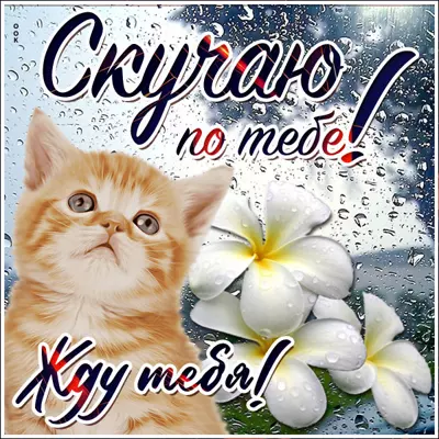 Picture удивительная картинка скучаю