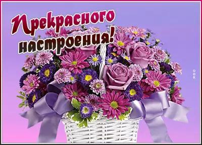 Postcard удивительная картинка хорошего настроения
