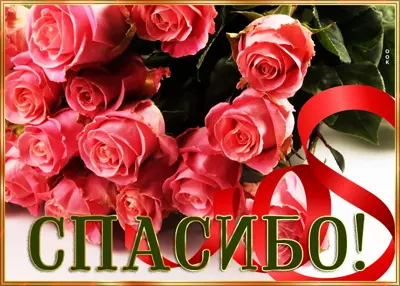 Postcard удивительная открытка спасибо
