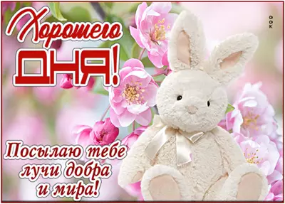 Postcard удивительная открытка хорошего дня