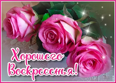 Picture удивительная открытка хорошего воскресенья