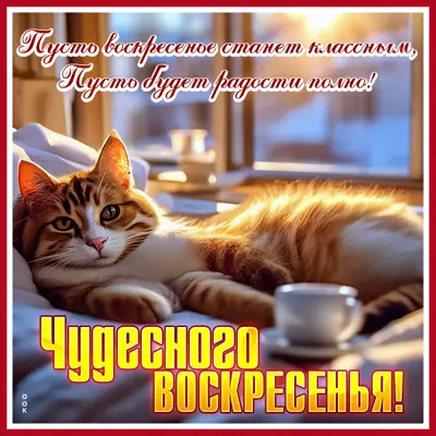 Postcard умиротворенная картинка чудесного воскресенья