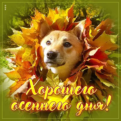 Postcard веселая открытка хорошего дня
