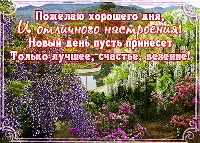 Postcard волшебная картинка пожелаю хорошего дня