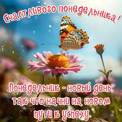 Picture волшебная картинка счастливого понедельника
