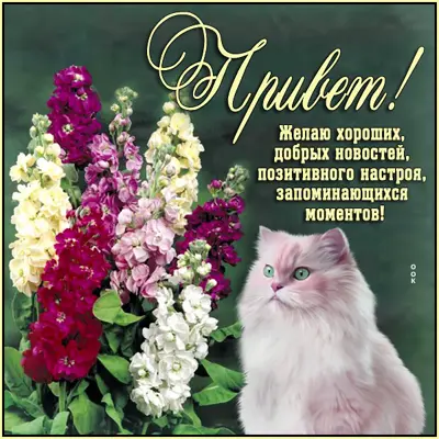 Postcard волшебная открытка привет